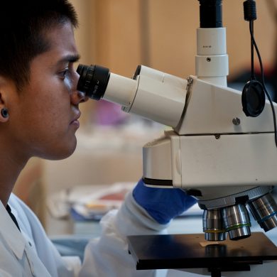 GENERIC CAPTION: Ervin eyes one of his successful creations under a microscope.