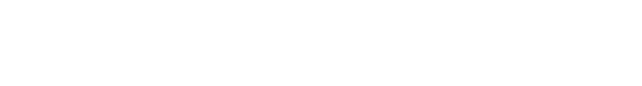 Footer white logo of Dunlop School